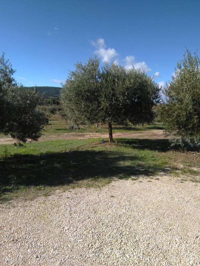 Vacances Vaison La Romaine Buitenkant foto